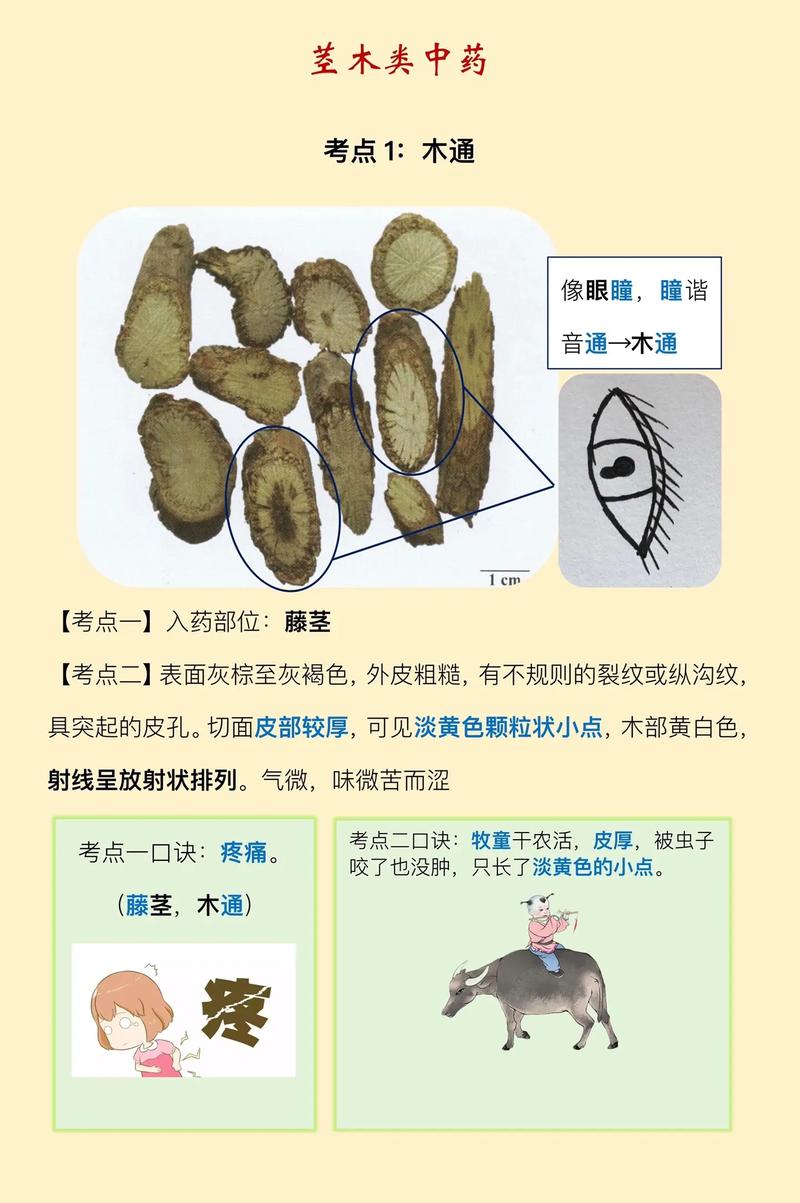恒健印度代购希爱力是真的吗？避坑指南与正品鉴别全攻略